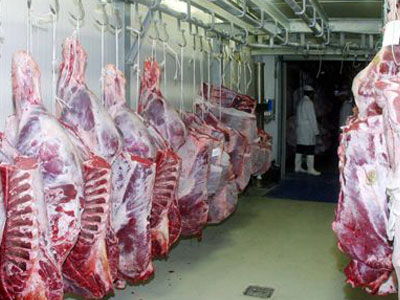 Έλεγχο για ελληνοποιήσεις αμνοεριφίων ζητούν οι κτηνοτρόφοι